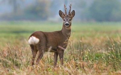 Concurso de fotografía en la página de Facebook de Manufacturas Muela
