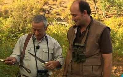 Cuchillos Muela en la 2 de Televisión Española